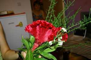 picture_188