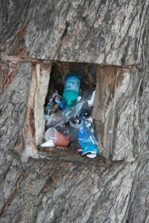 gunoi-in-copac-oradea