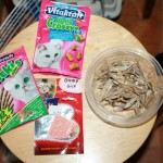 gustari pentru pisica