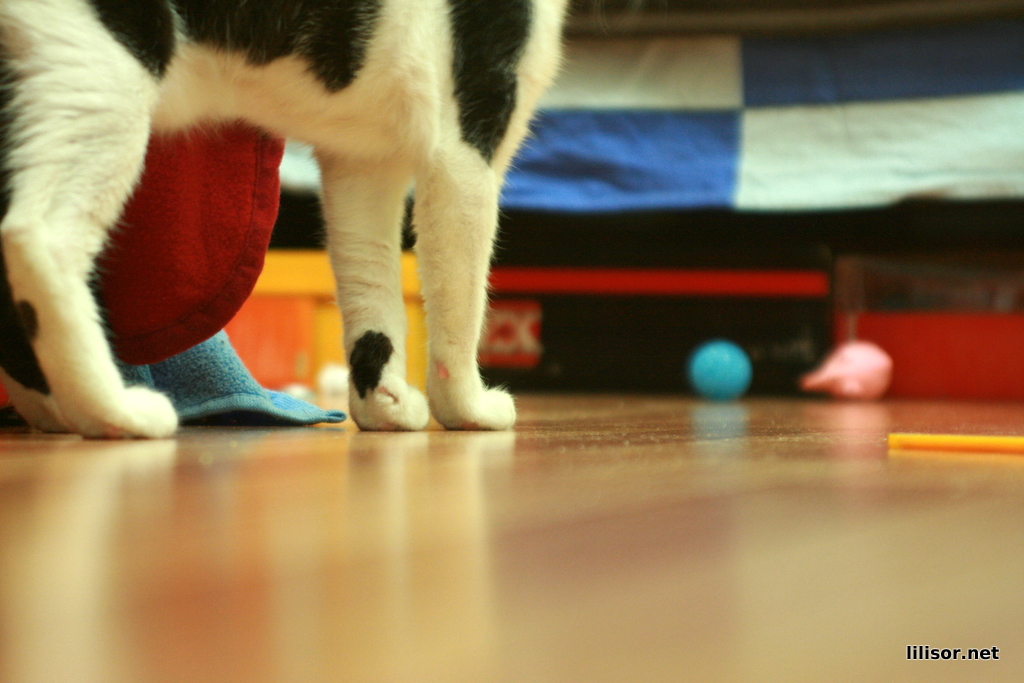 labuteeeee labuteeeee