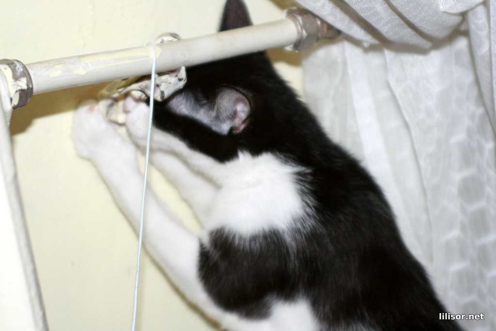 sau cu elasticul jucariei? sau cu elasticul jucariei?