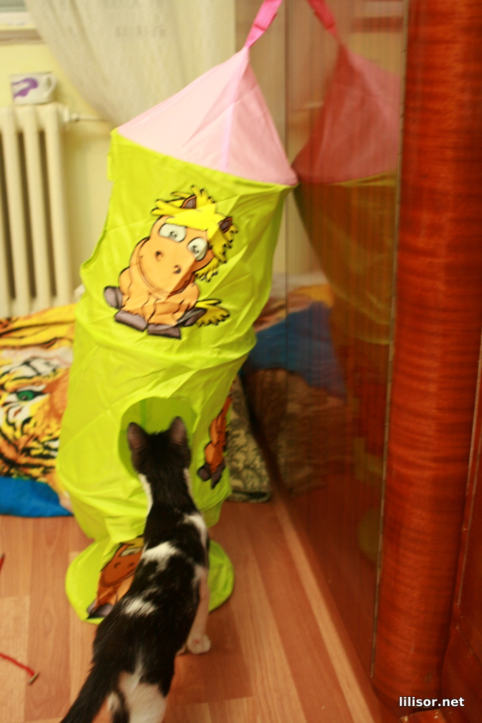 titic curioasa de etajera pentru copii titic curioasa de etajera pentru copii