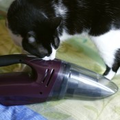 aspirator de mana bosch aspirator de mana bosch