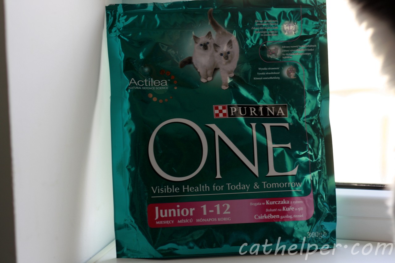 mancare pentru pisici purina one mancare pentru pisici purina one