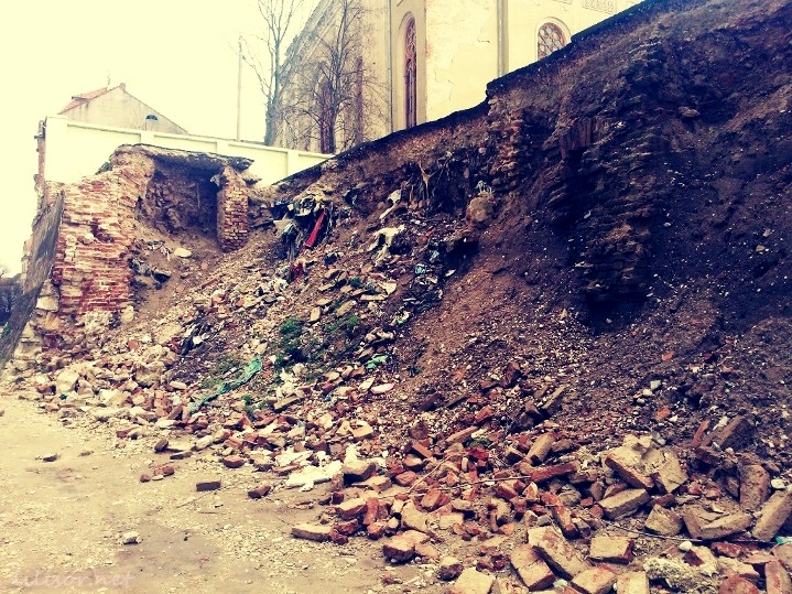 malul crisului oradea