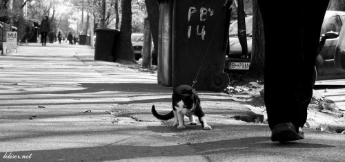 la pas in lesa la pas in lesa